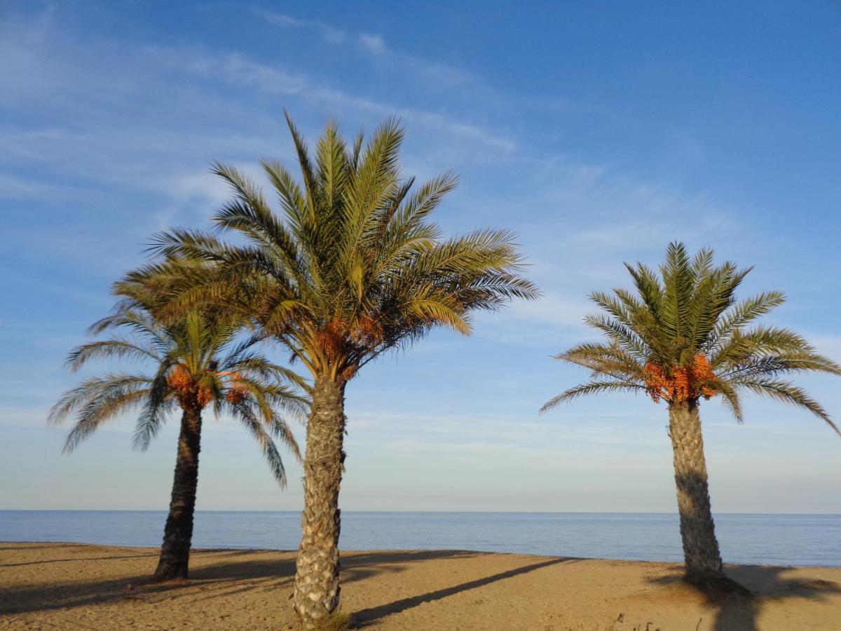 Precioso Apart Sur Y Norte Cerca Playa Y Centro - Cascadas De La Marina Dénia Exterior foto
